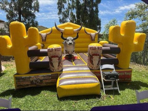 Wild West Cactus Mechanical Bull rental