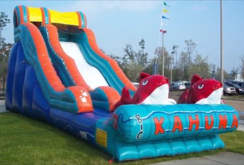 Water Slides rentals