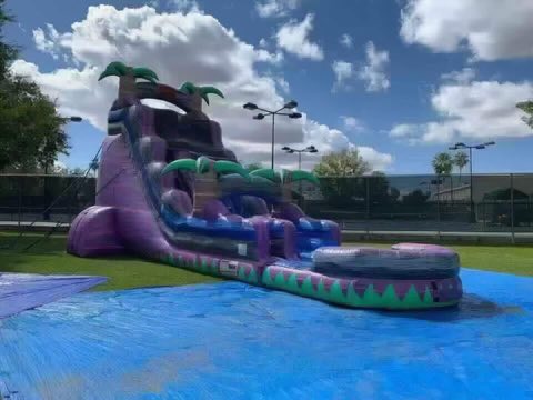 Purple Marble Tropical Waterslide rental